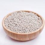 فلفل أبيض حب