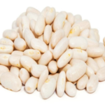 فاصوليا عريضة